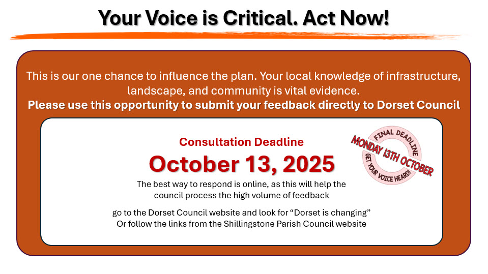 Dorset Council Local Plan Options Consultation 2025